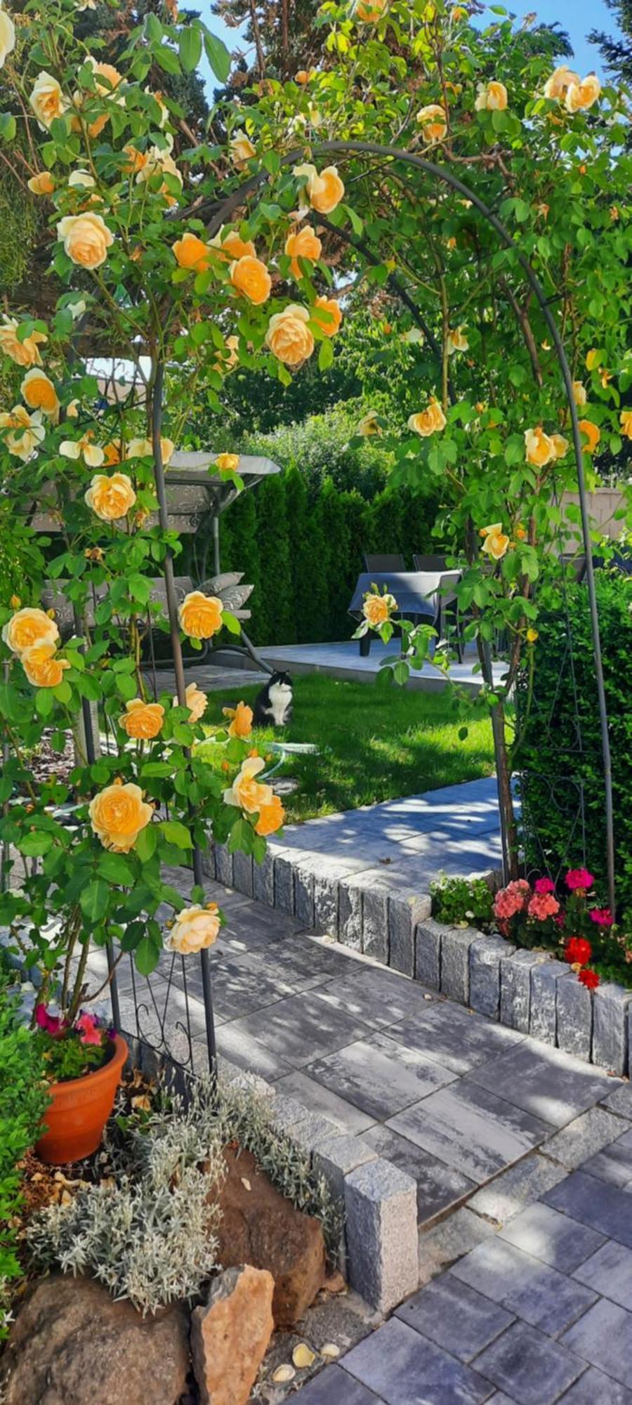 Villa Shafaly Mariánské Lázně Εξωτερικό φωτογραφία