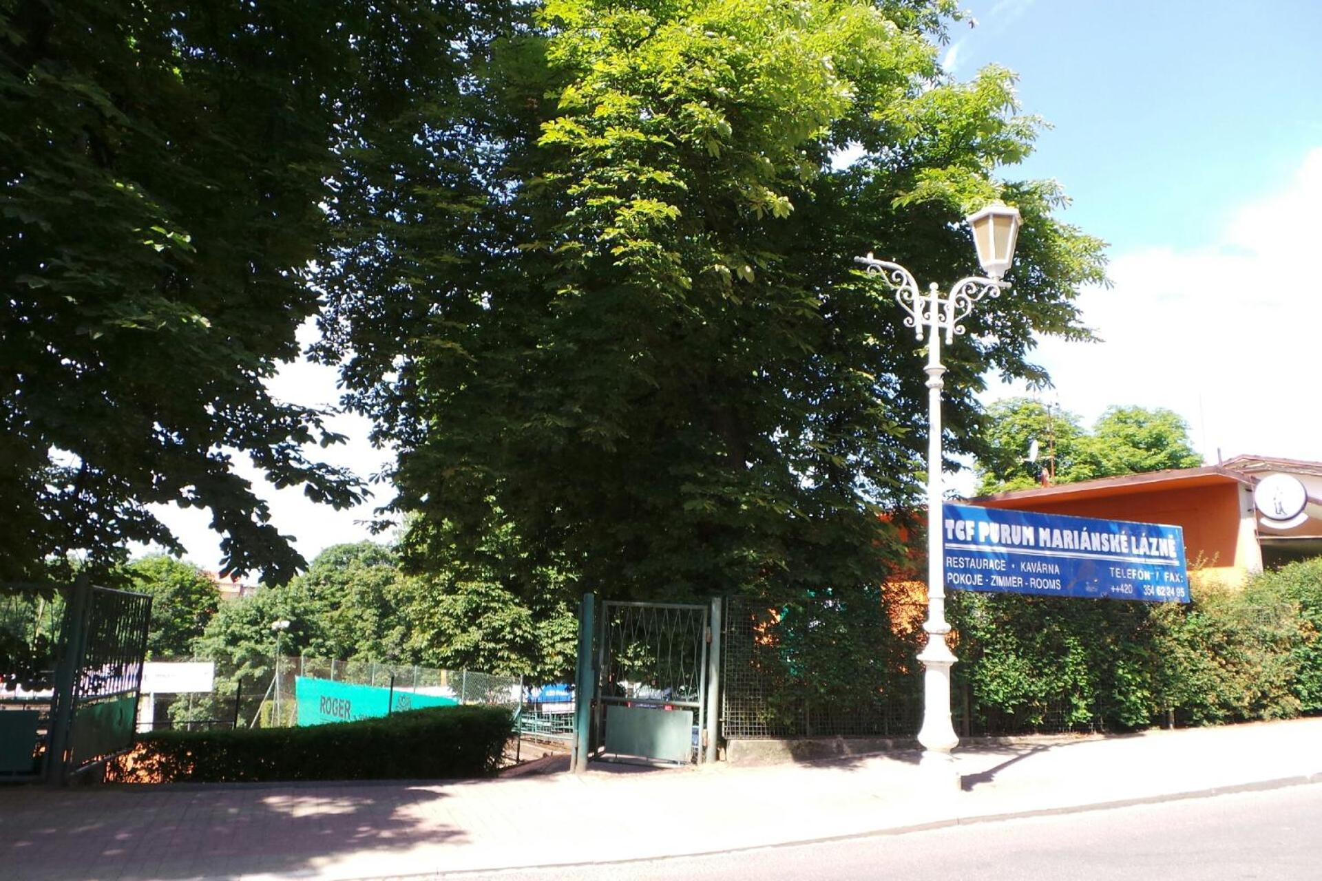 Villa Shafaly Mariánské Lázně Εξωτερικό φωτογραφία