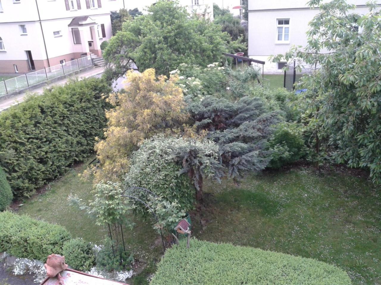 Villa Shafaly Mariánské Lázně Εξωτερικό φωτογραφία